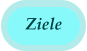 Ziele
